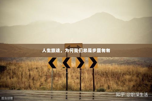 人生旅途，为何我们总是步履匆匆
