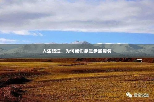 人生旅途,为何我们总是步履匆匆