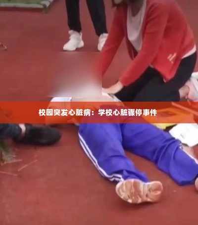 校园突发心脏病:学校心脏骤停事件