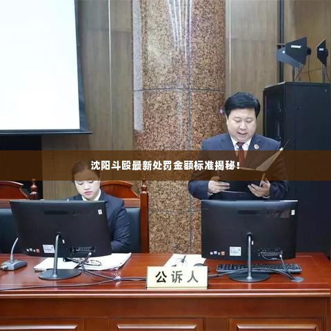 沈阳斗殴最新处罚金额标准揭秘!