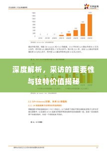 深度解析,采访的重要性与独特价值揭秘