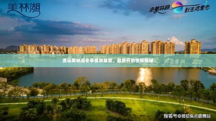 集腋成裘 第3页