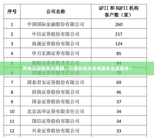 充电公司排名大揭秘,行业内领先充电服务企业榜单!