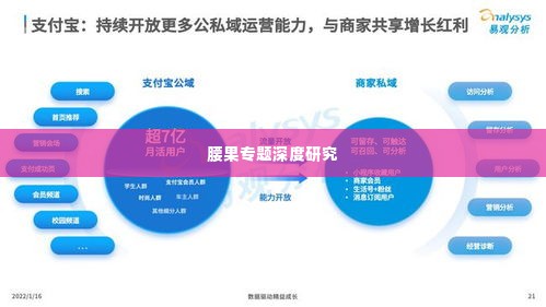 腰果专题深度研究