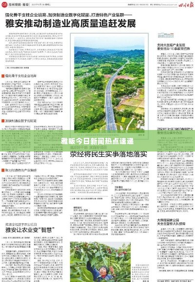 雅畈今日新闻热点速递