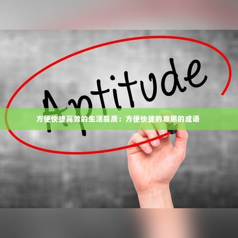 方便快捷高效的生活品质:方便快捷的意思的成语