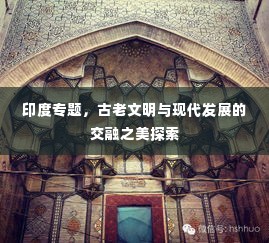 印度专题,古老文明与现代发展的交融之美探索