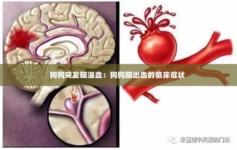 百鸟归巢 第2页