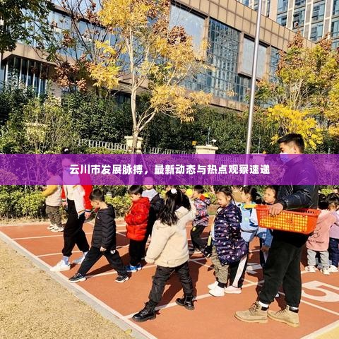 云川市发展脉搏，最新动态与热点观察速递