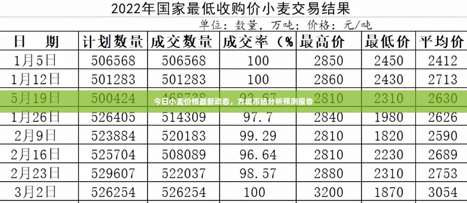今日小麦价格最新动态,方城市场分析预测报告
