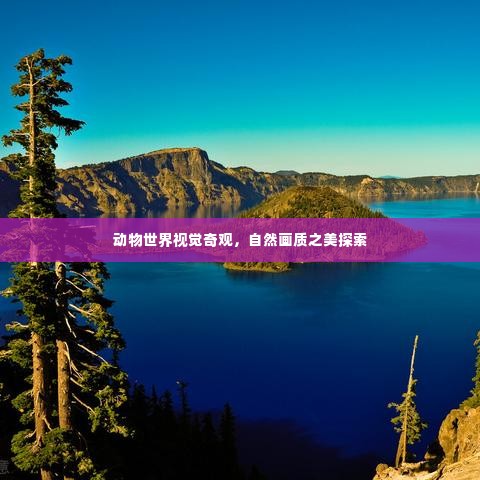 动物世界视觉奇观，自然画质之美探索