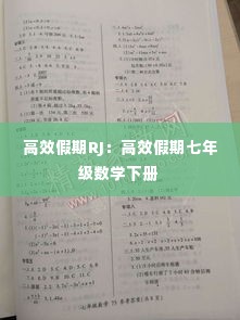 高效假期RJ：高效假期七年级数学下册 