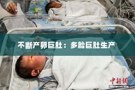 不断产卵巨肚:多胎巨肚生产
