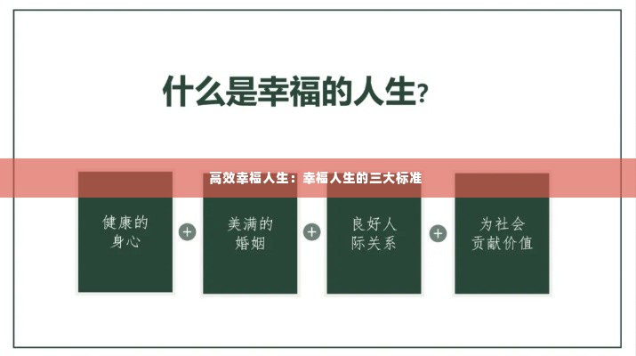 高效幸福人生：幸福人生的三大标准 