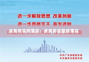 求真务实抓落实:求真务实狠抓落实