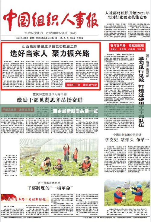 西乡最新新闻头条一览