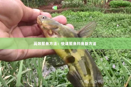 虫蚀鸟步 第3页