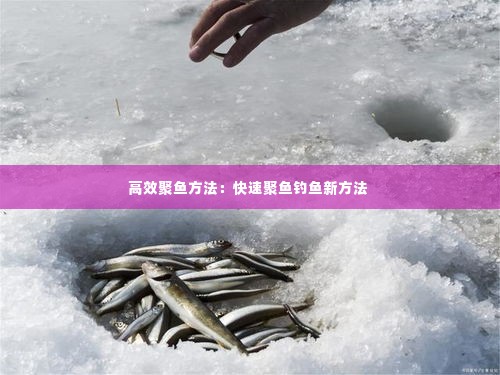 高效聚鱼方法:快速聚鱼钓鱼新方法