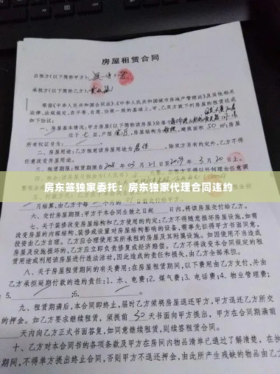 房东签独家委托:房东独家代理合同违约