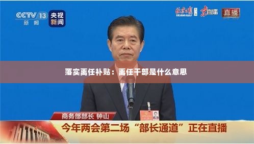 落实离任补贴:离任干部是什么意思