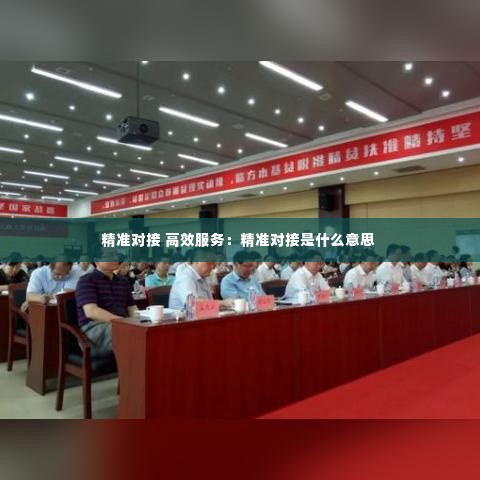 精准对接 高效服务:精准对接是什么意思