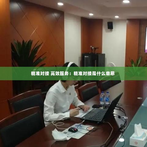 精准对接 高效服务:精准对接是什么意思