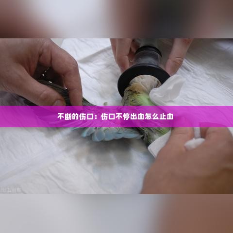 不断的伤口：伤口不停出血怎么止血 