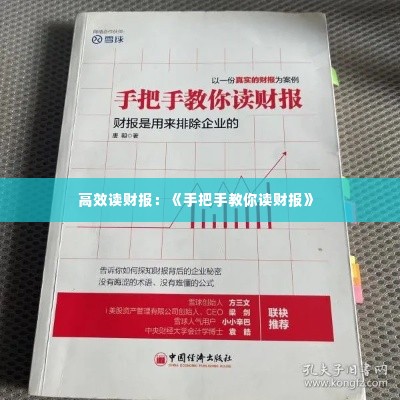 高效读财报:《手把手教你读财报》