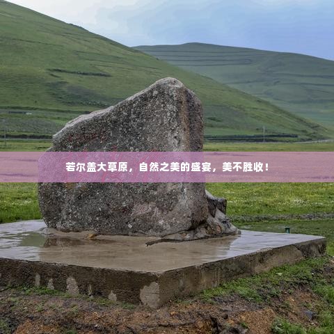 若尔盖大草原,自然之美的盛宴,美不胜收!