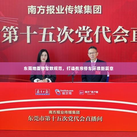 东莞地面停车数规范,打造有序停车环境新篇章
