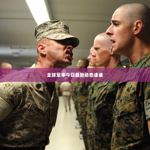全球军事今日最新动态速递