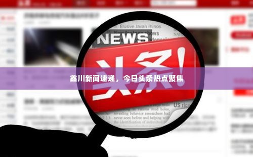 鑫川新闻速递,今日头条热点聚焦