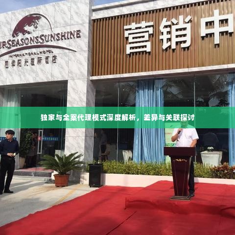 独家与全案代理模式深度解析,差异与关联探讨