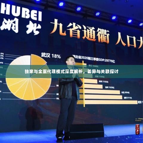 独家与全案代理模式深度解析,差异与关联探讨