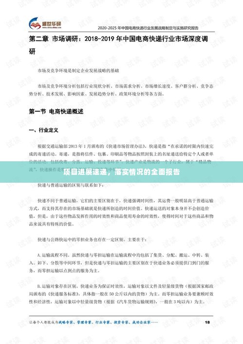 项目进展速递,落实情况的全面报告