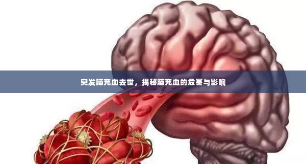 突发脑充血去世,揭秘脑充血的危害与影响