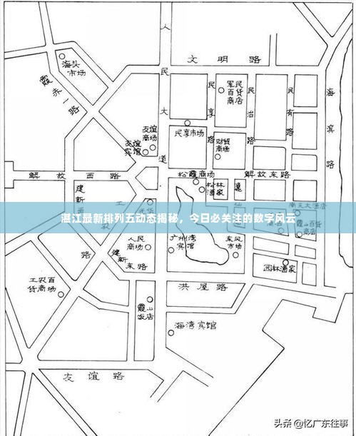 湛江最新排列五动态揭秘,今日必关注的数字风云