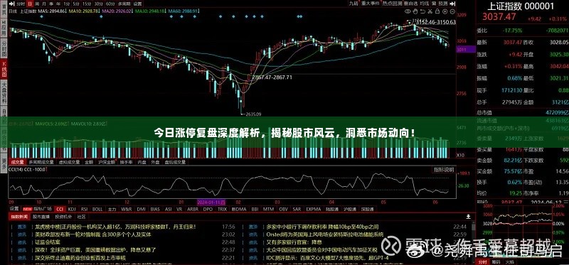 今日涨停复盘深度解析,揭秘股市风云,洞悉市场动向!