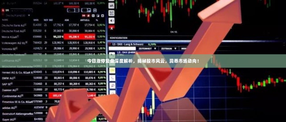 今日涨停复盘深度解析,揭秘股市风云,洞悉市场动向!
