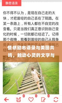 情感励志语录与美图共鸣，触动心灵的文字与美图结合