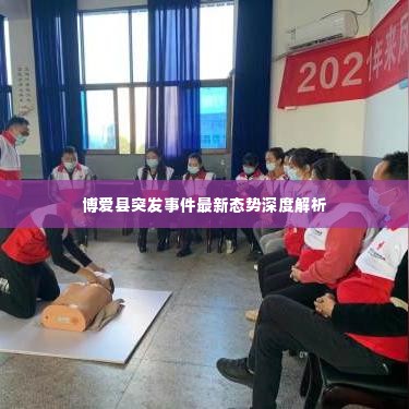 博爱县突发事件最新态势深度解析