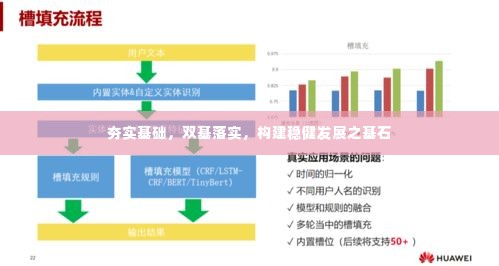 夯实基础,双基落实,构建稳健发展之基石
