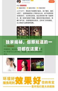 独家揭秘,你想知道的一切都在这里!