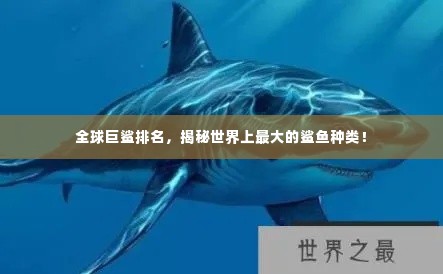 全球巨鲨排名,揭秘世界上最大的鲨鱼种类!