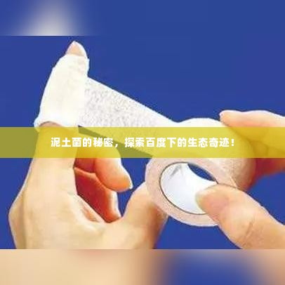 泥土菌的秘密,探索百度下的生态奇迹!