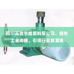 四川高效节能塑料泵公司，绿色工业先锋，引领行业新潮流