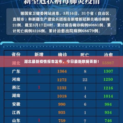 湖北最新疫情报告发布,今日最新数据更新!