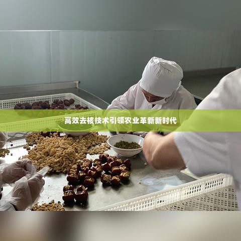 高效去核技术引领农业革新新时代