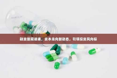融资新闻速递,资本走向新动态,引领投资风向标