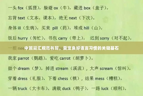 中班词汇规范书写,奠定良好语言习惯的关键基石